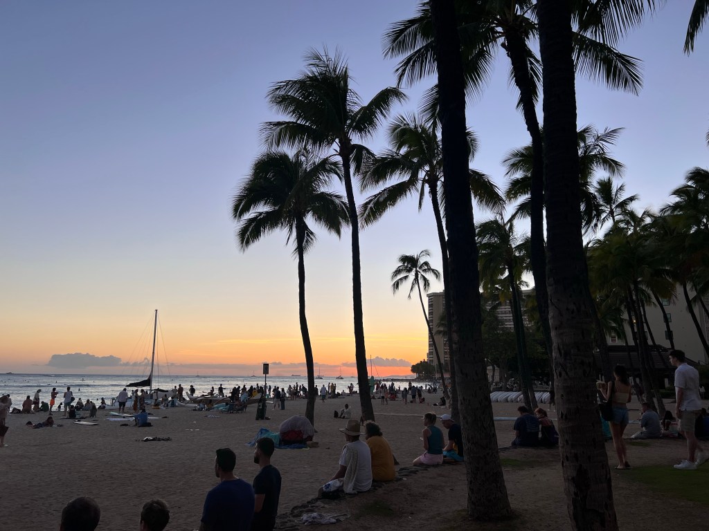 Sunset on Waikiki Beach with Palm Trees
