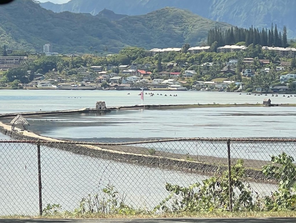 Traditional Hawaiian fish capture installation 