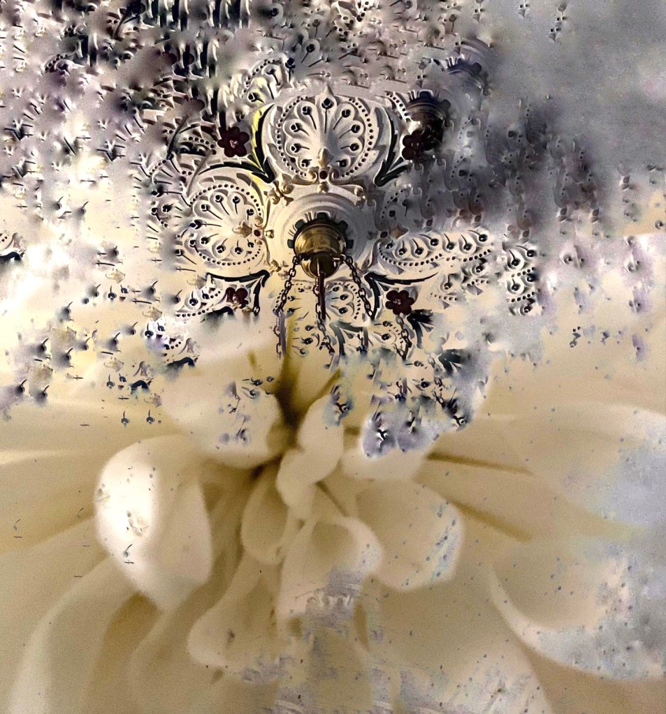 Composite photo featuring architecture and a flower