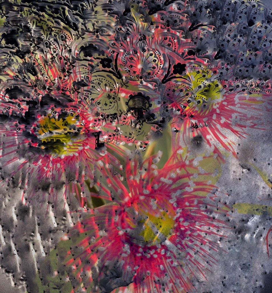 A photo featuring architecture and Corymbia ficifolia flowers 