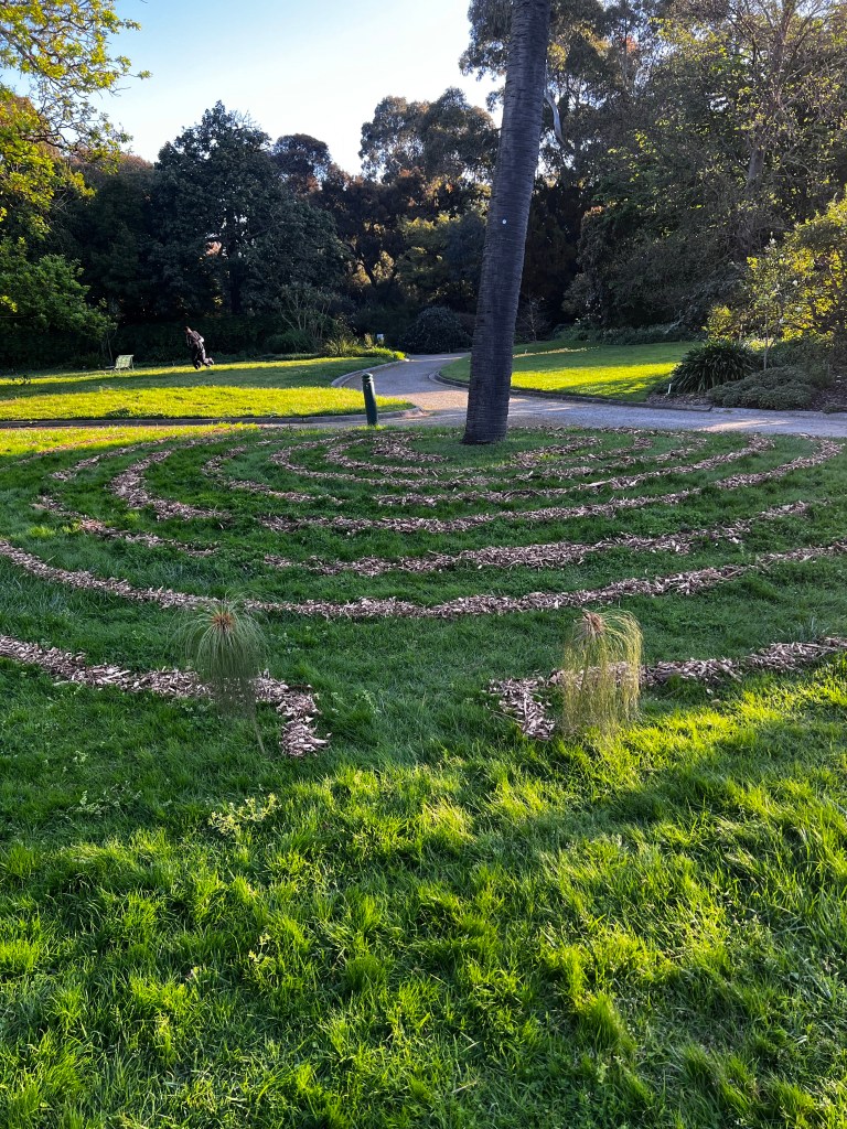 Nature art: mulch maze at the base of a tree 