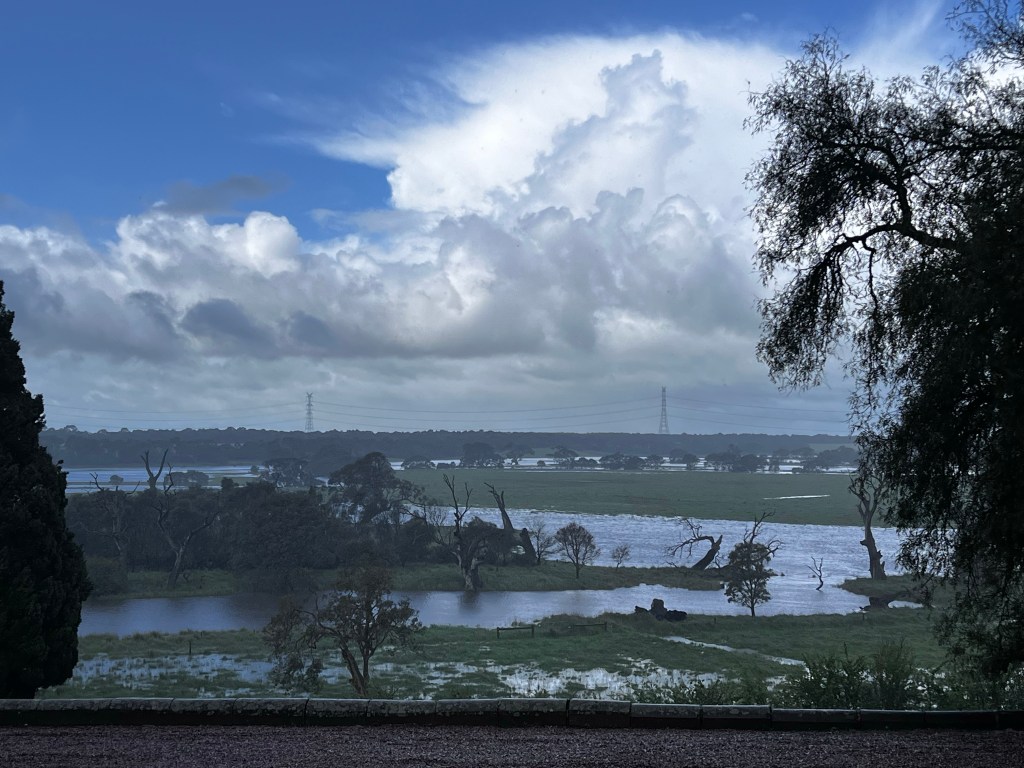 Hopkins river floodplain during a rain event