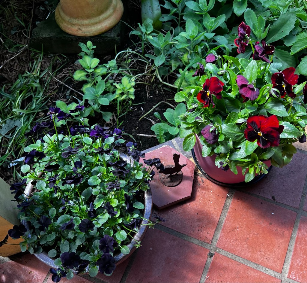 Potted pansies and violas with a metal bird sculpture.