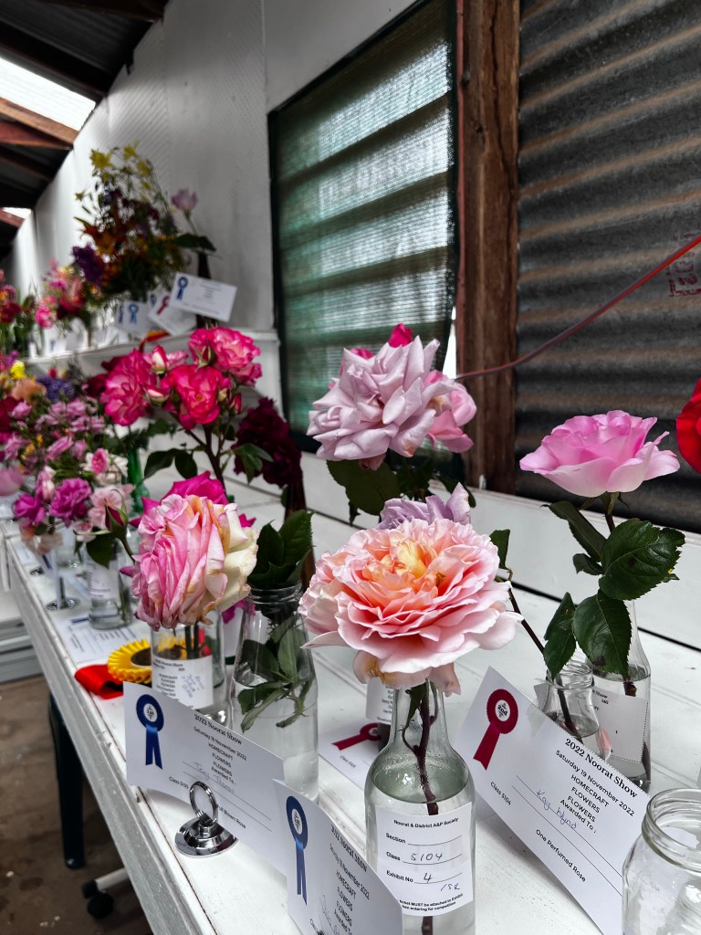 Roses entered in the homecrafts section of the Noorat Show, 2022