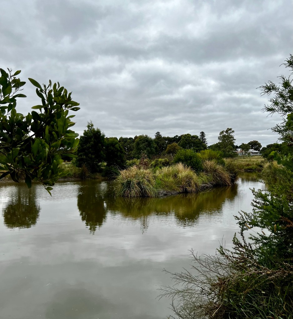 An island in a pond at Terang Community Park and Wetlands. Grey skies reflecting in the water.