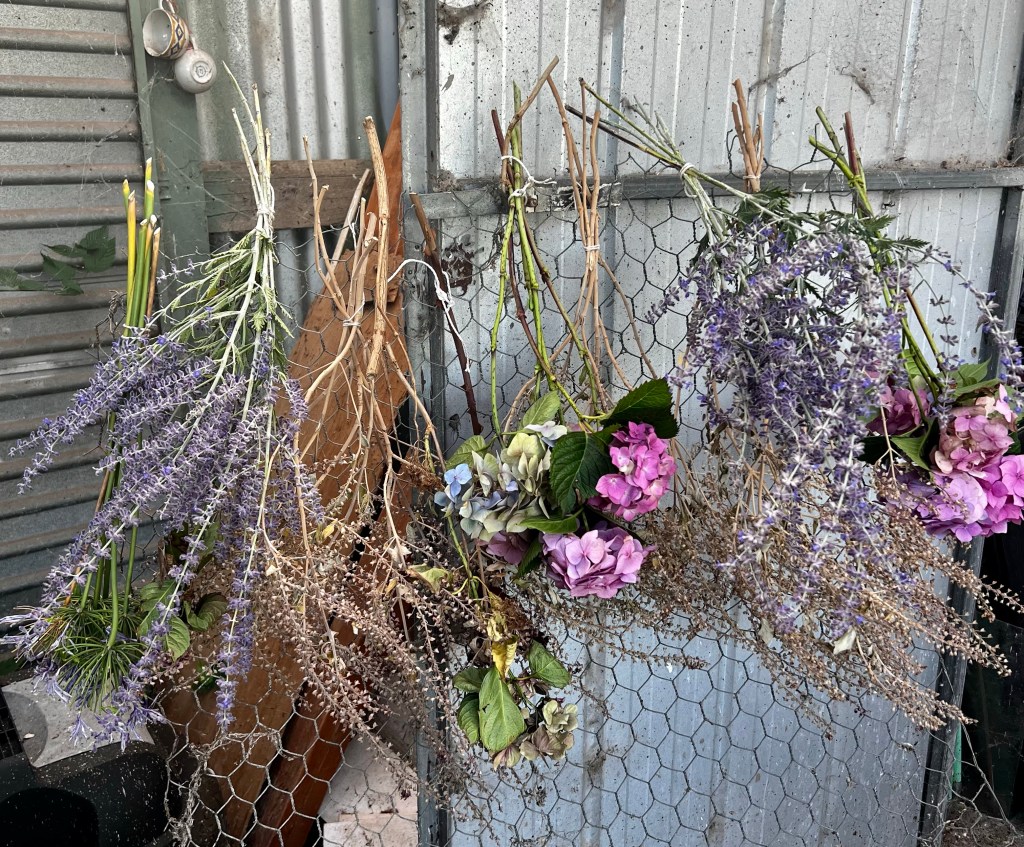 Different types of flowers drying on a wire ‘rack’