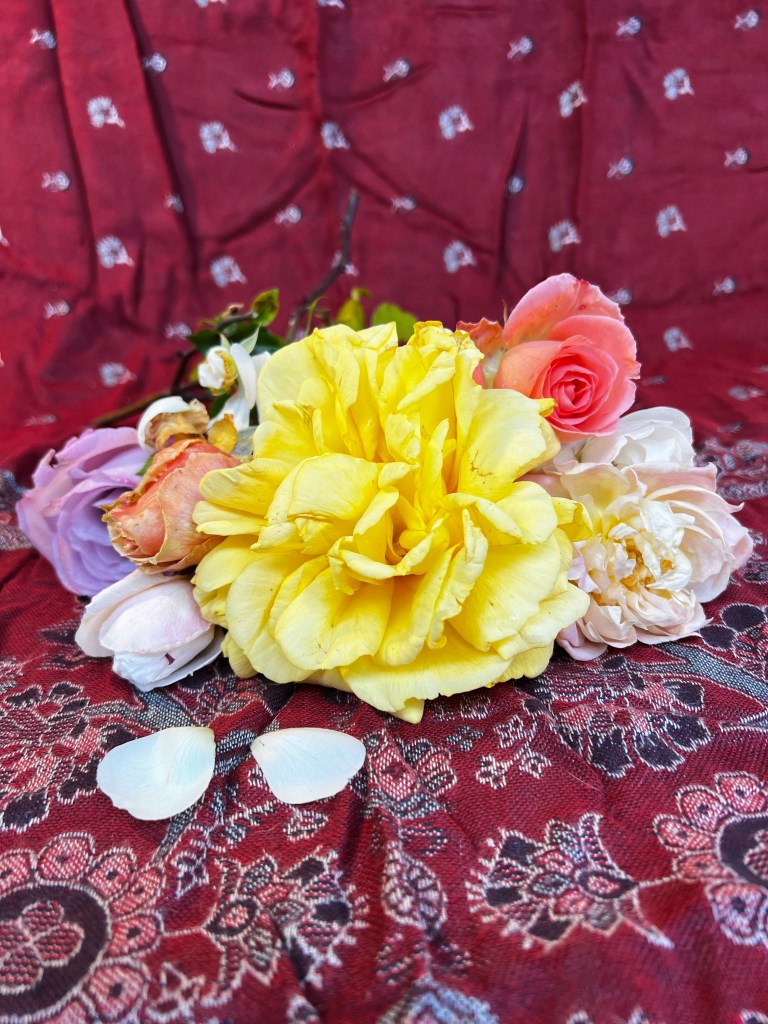 A bunch of different coloured roses