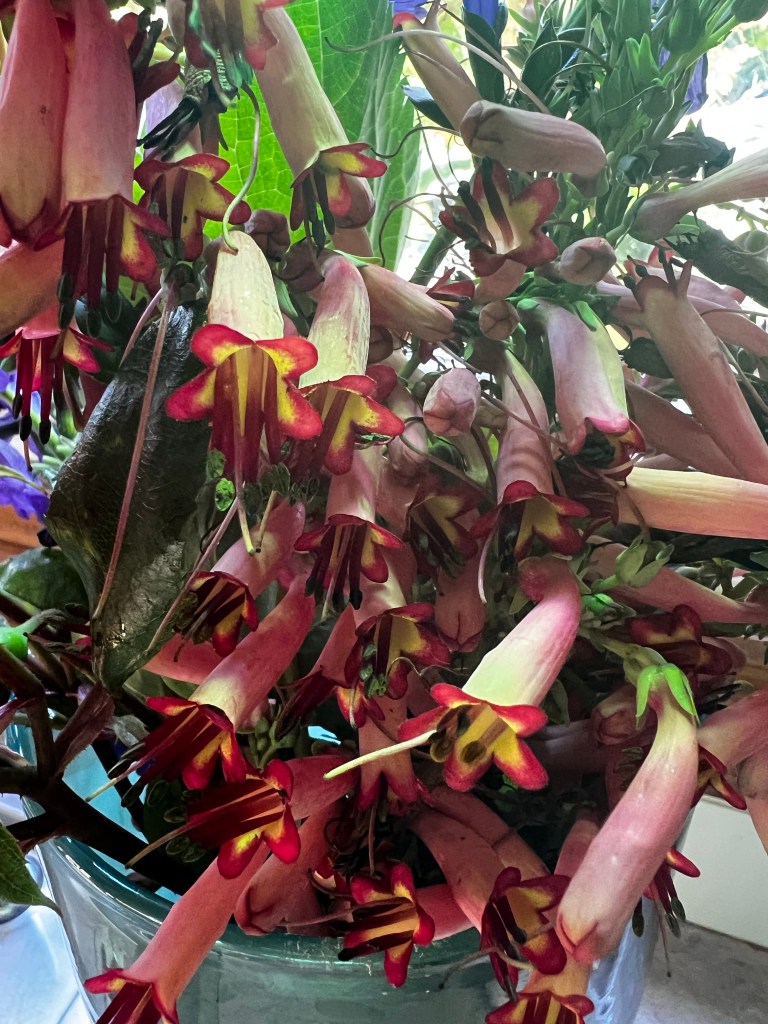 Flowers bounced together in a vase