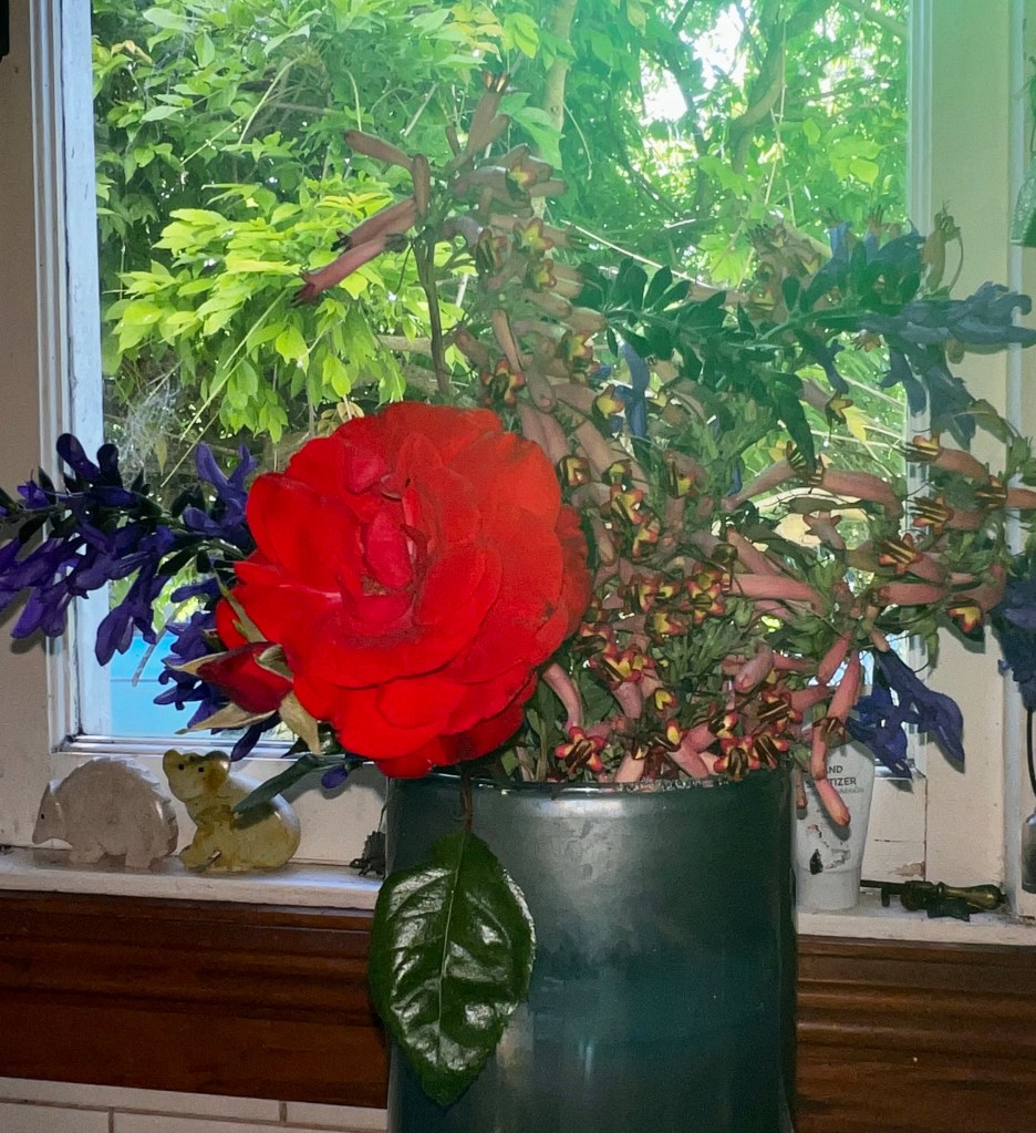 A bright red rose in a vase, surrounded by other flowers. 