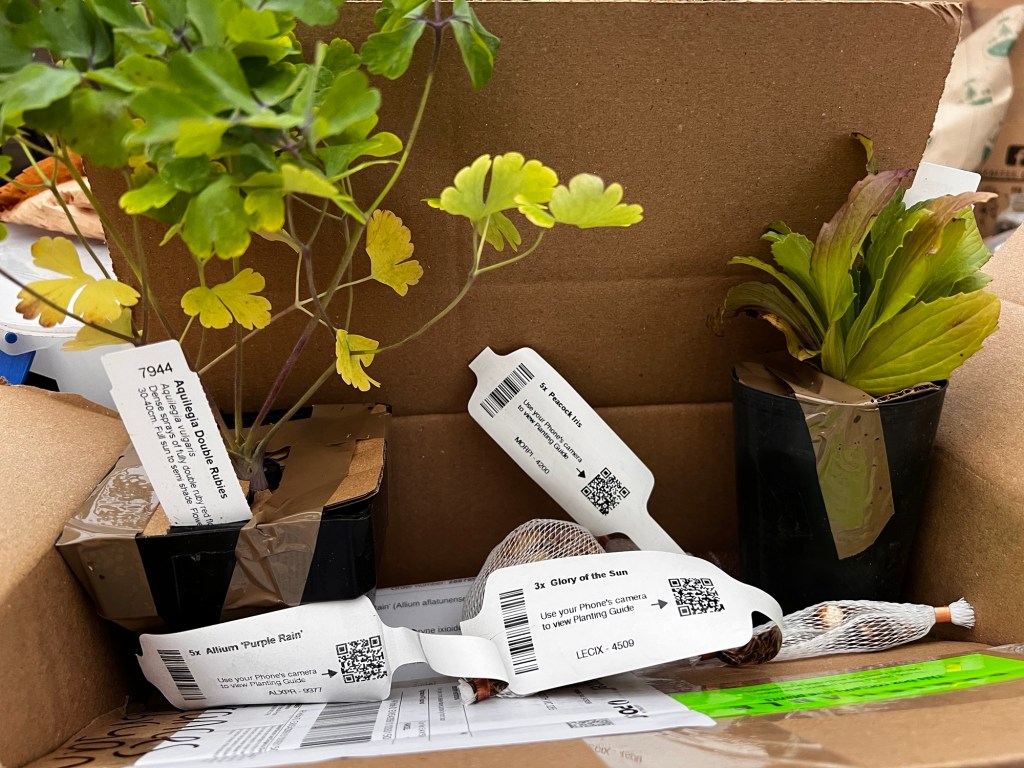 Opened parcel showing plants and bulbs bought online.