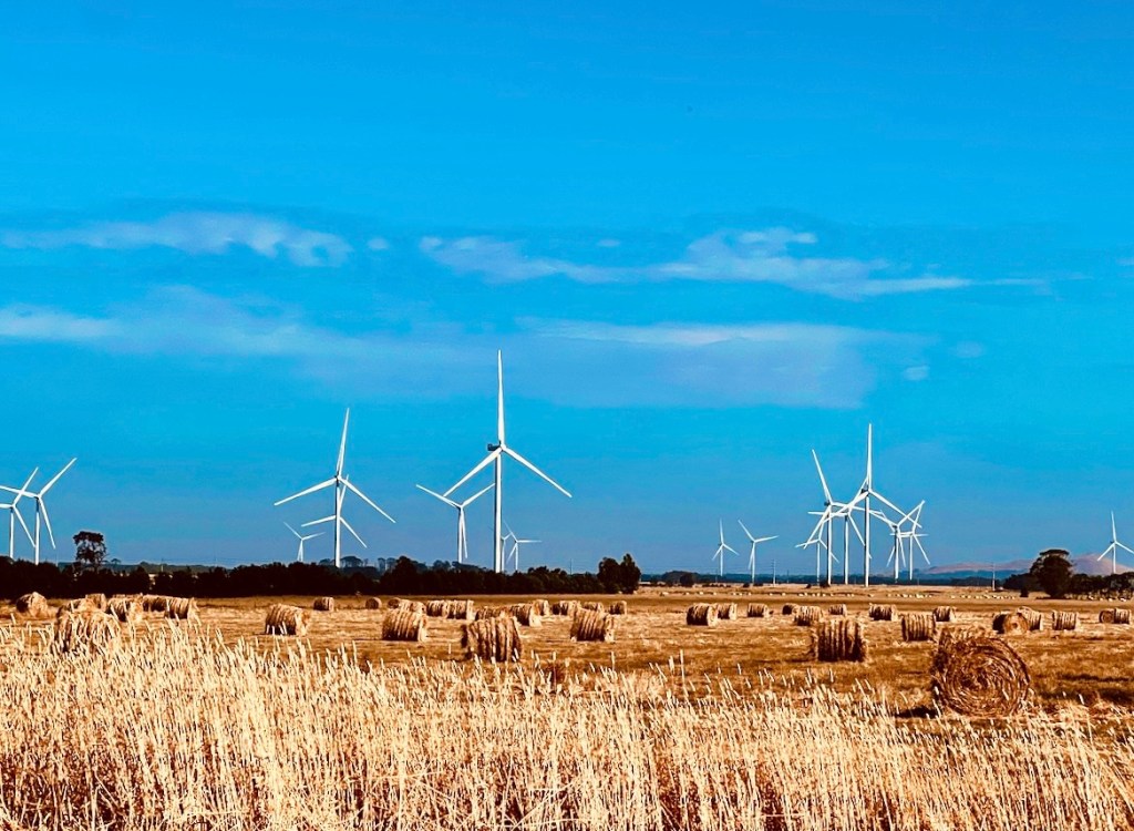 Wind turbines loom over paddocks filled with harvested grass