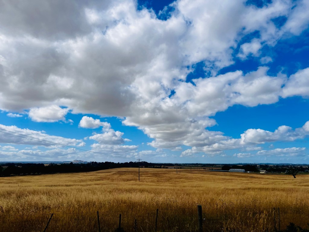 Scene across a dry paddock with dramatic clouds in a blue sky