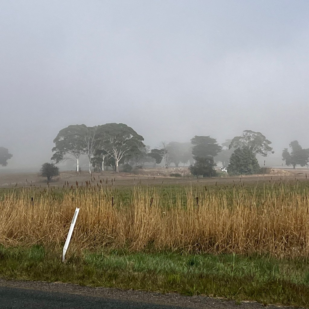A foggy country scene. There is a mountain hidden in the mist